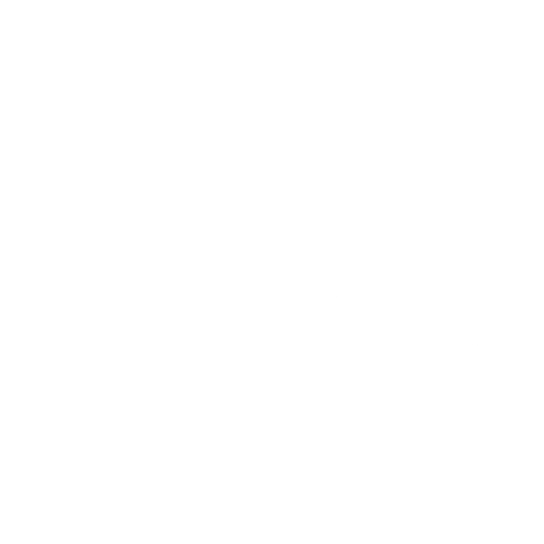 Rocket icon