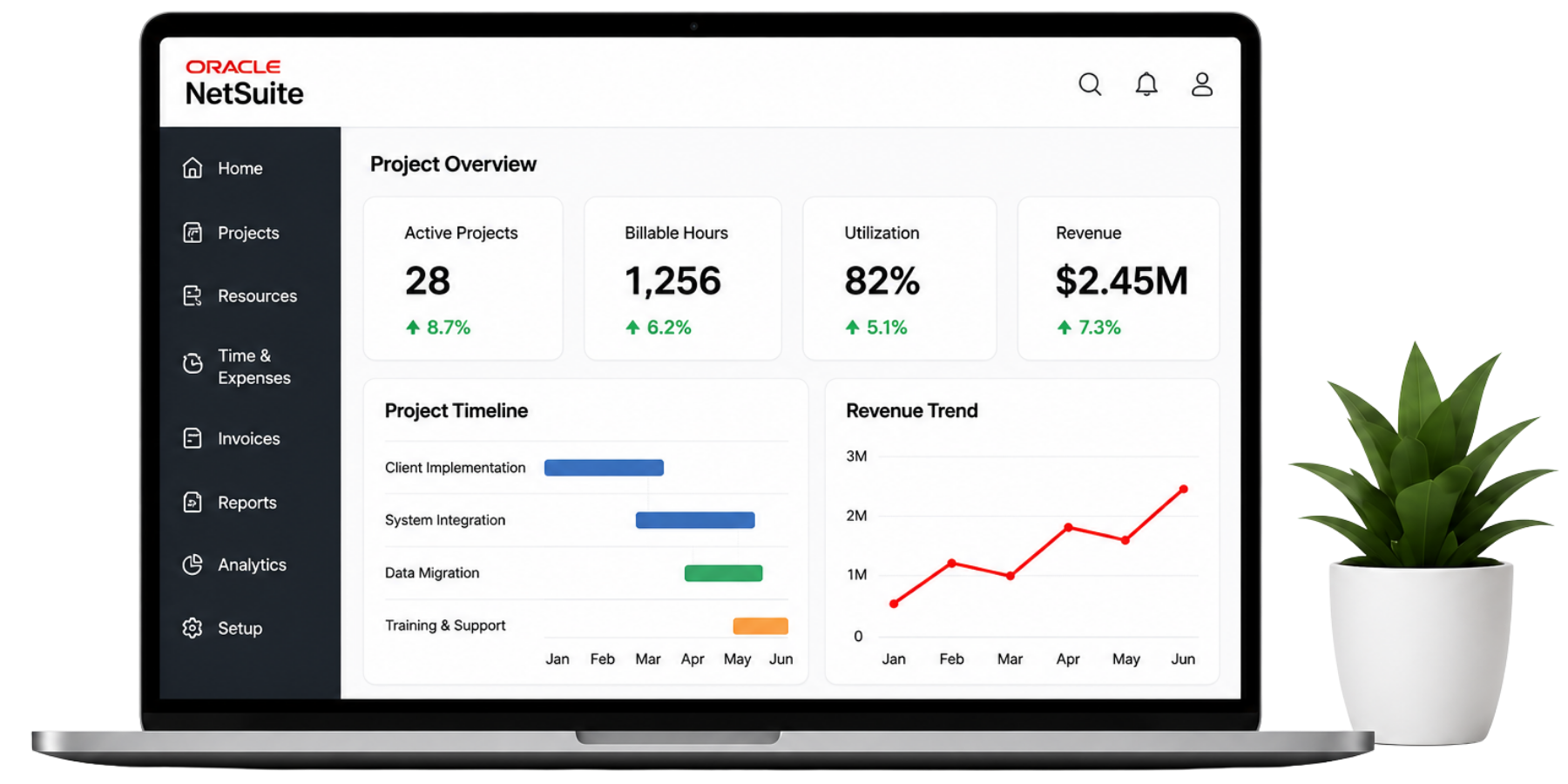 NetSuite solutions for professional services