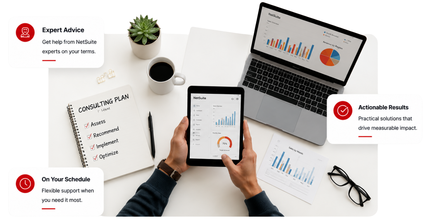 NetSuite on-demand consulting services